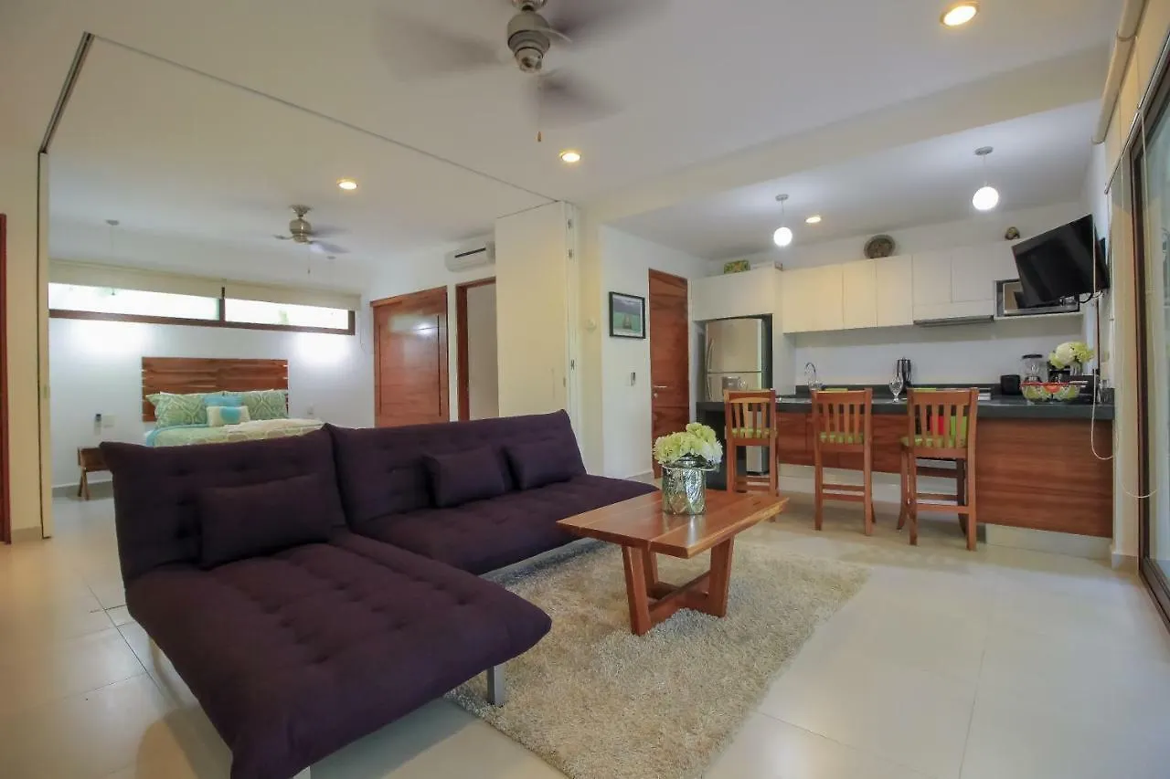 Exclusive 1 Bedroom Loft With Pool Facilites, High-Speed Internet And Free Parking In Akumal 0*,  Mexico