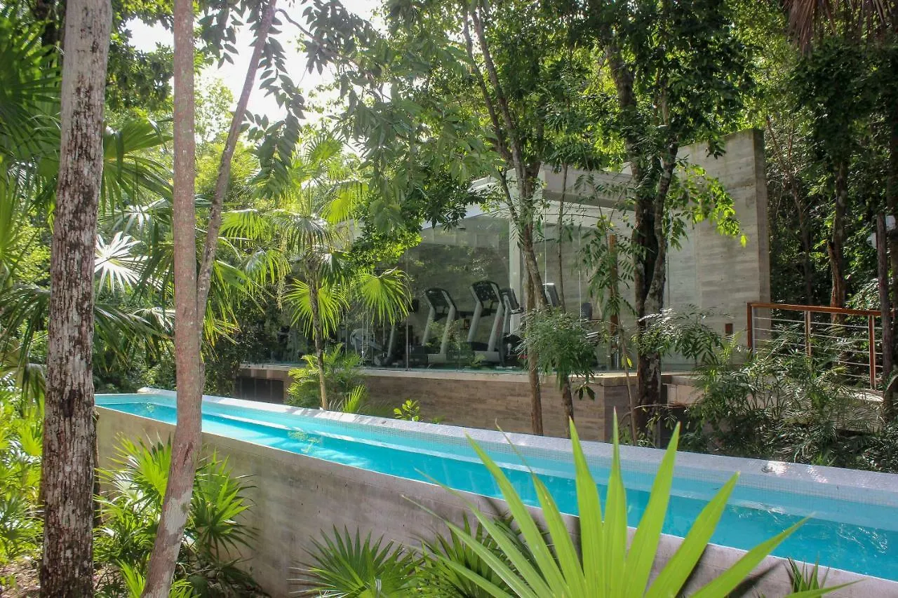 Exclusive 1 Bedroom Loft With Pool Facilites, High-Speed Internet And Free Parking In Akumal 0*,