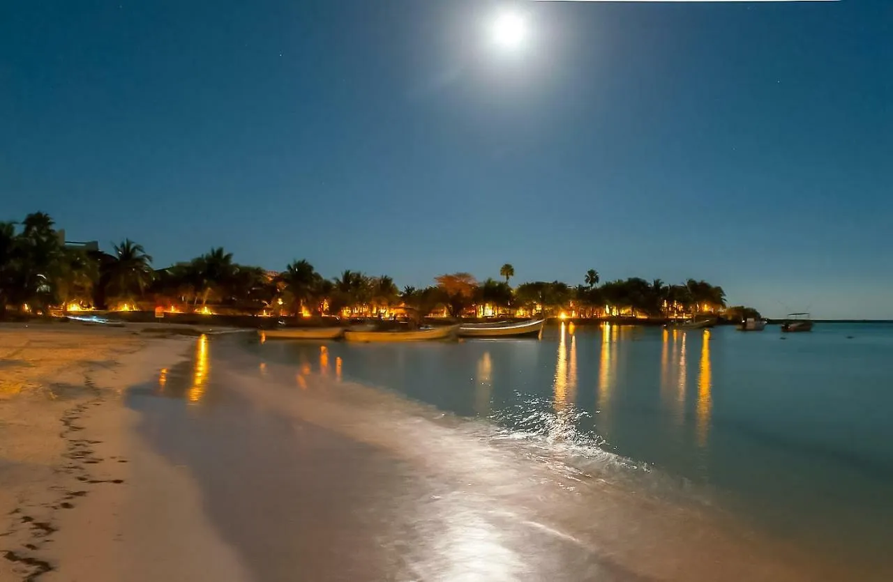 Apartment Exclusive 1 Bedroom Loft With Pool Facilites, High-Speed Internet And Free Parking In Akumal