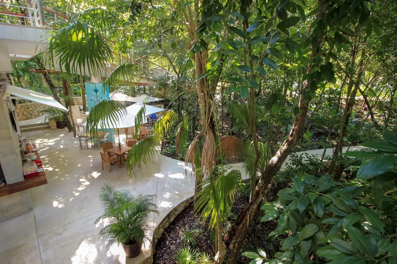 Apartment Exclusive 1 Bedroom Loft With Pool Facilites, High-Speed Internet And Free Parking In Akumal