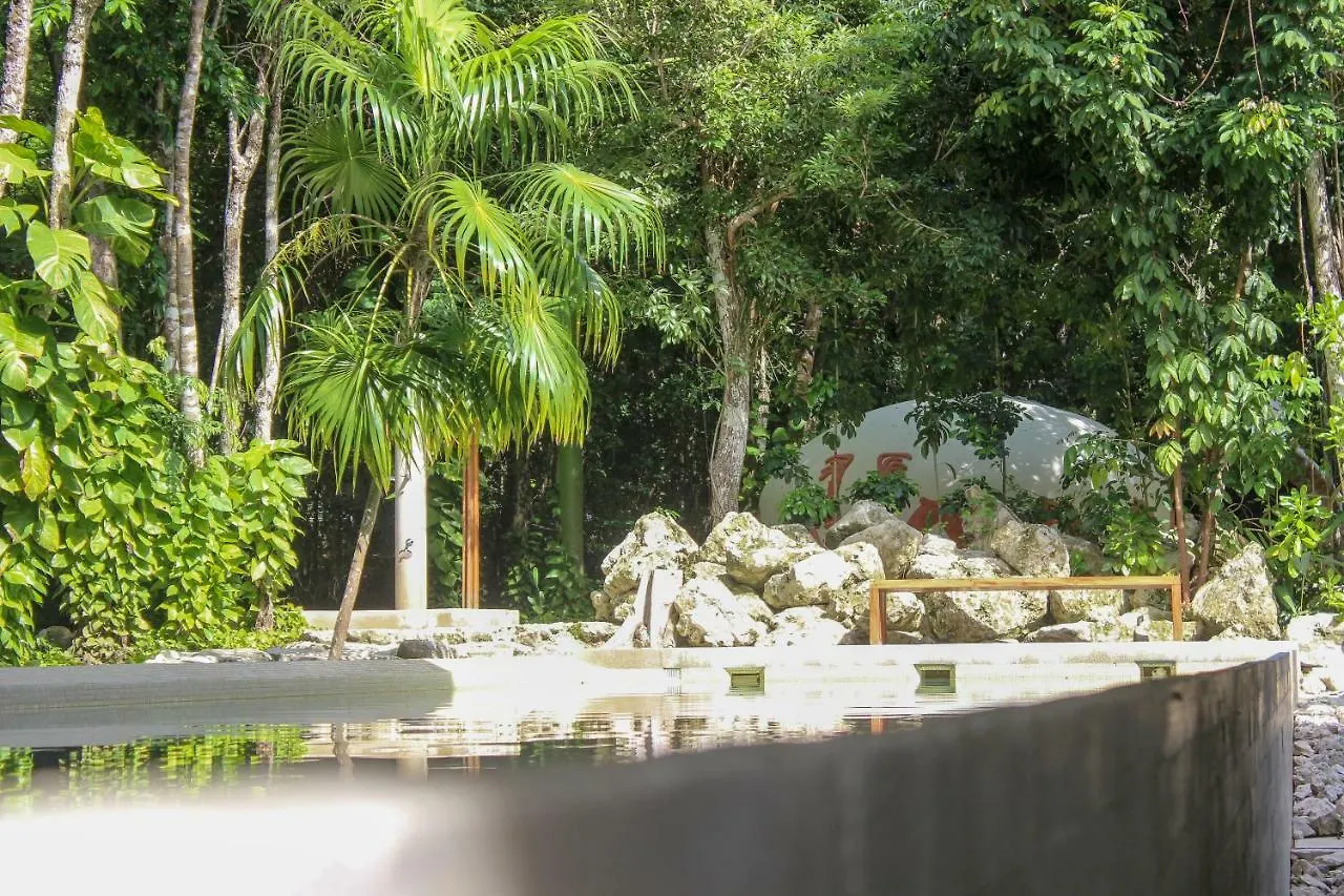 Exclusive 1 Bedroom Loft With Pool Facilites, High-Speed Internet And Free Parking In Akumal Apartment